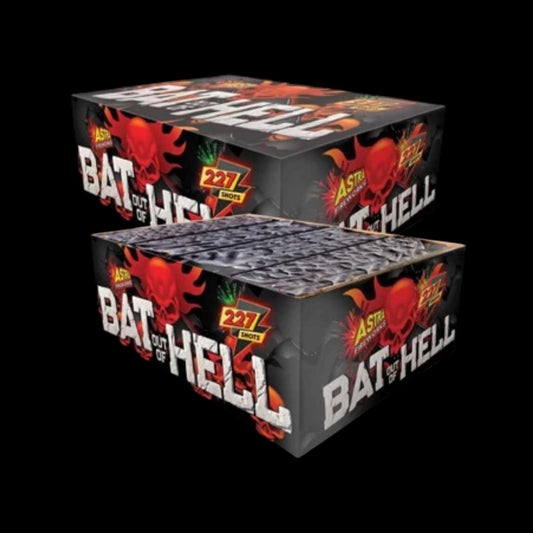 Bat out of Hell